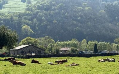 Explota la primavera en Cabuérniga