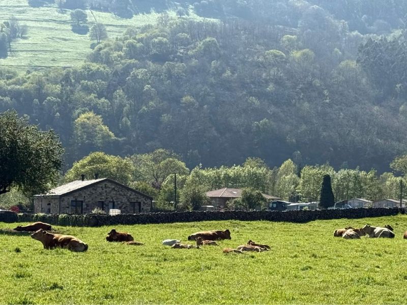 primavera cabuerniga casa luca de tena hotel encanto cantabria sopena (4) primavera cabuerniga casa luca de tena hotel encanto cantabria sopena (4)