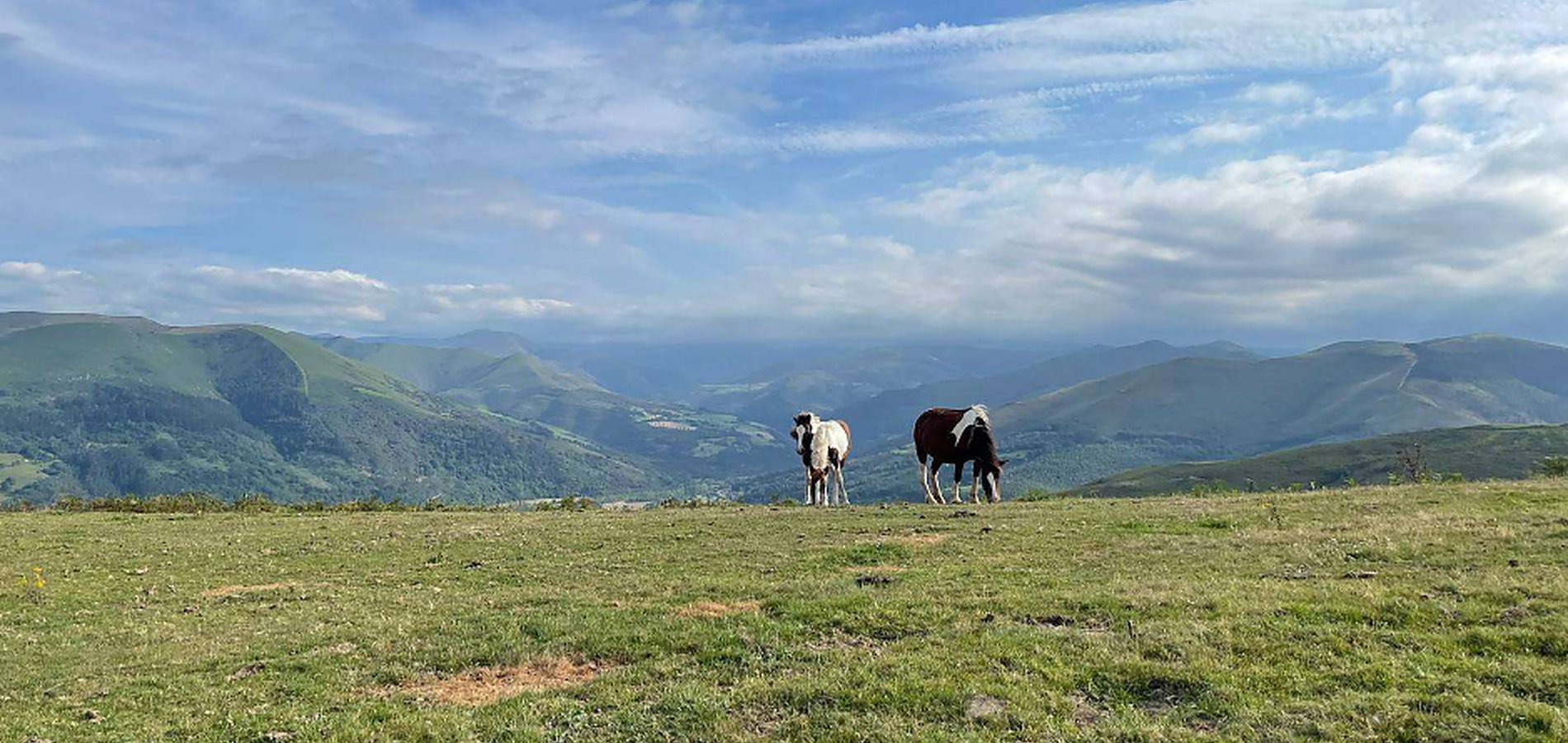 Paisaje del valle de Cabuérniga, Cantabria
